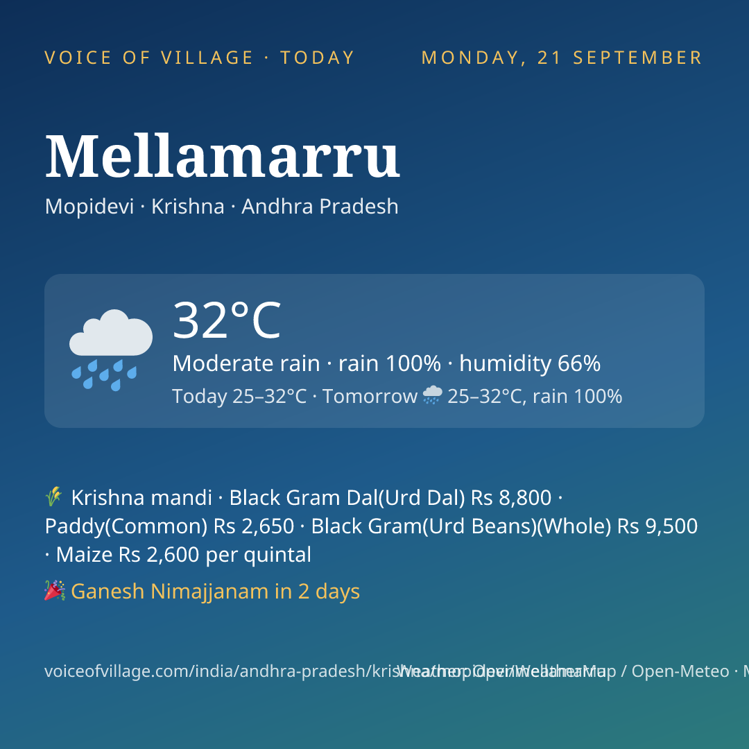 Mellamarru today