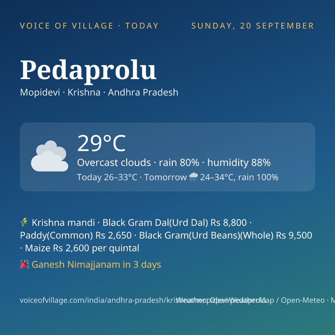 Pedaprolu today