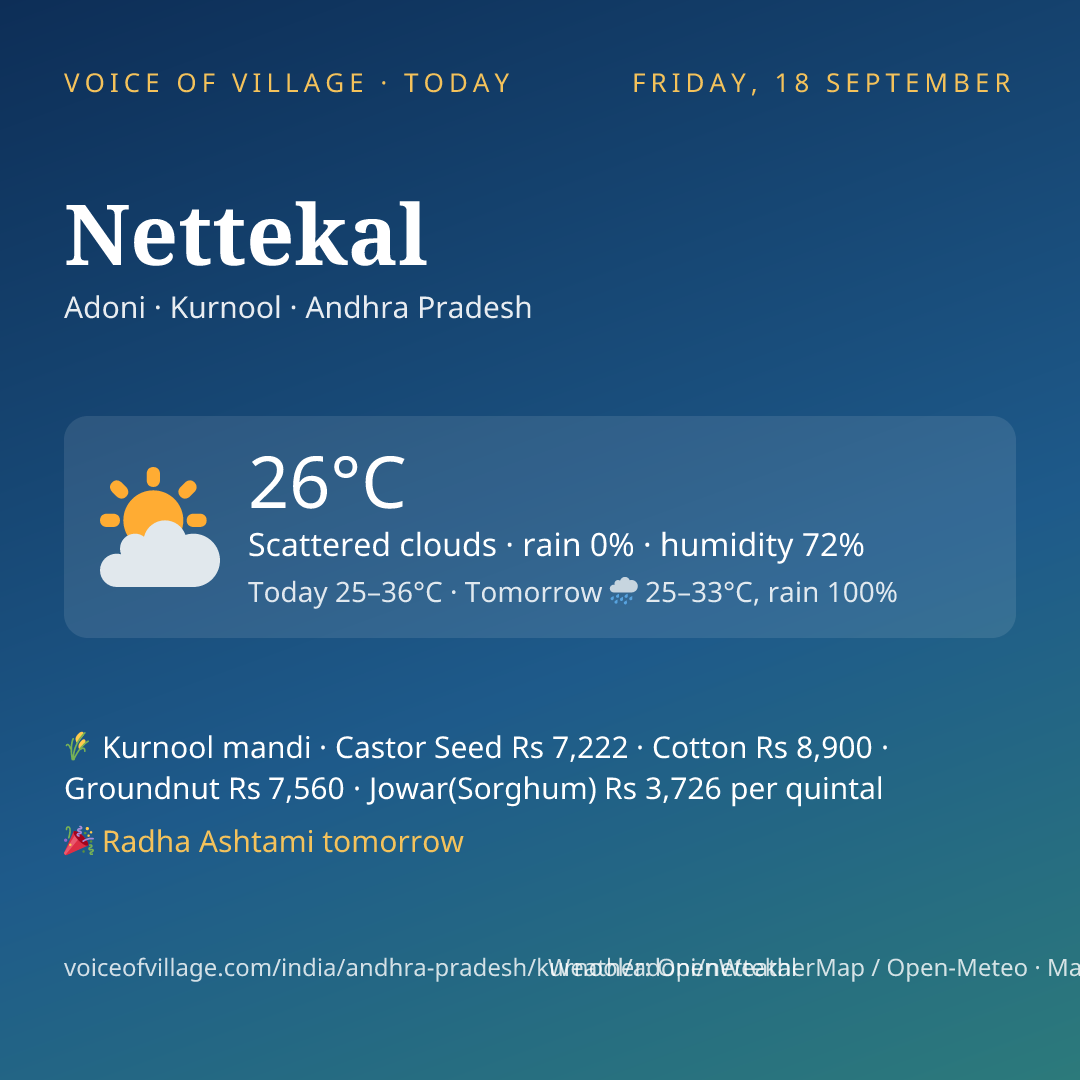 Nettekal today