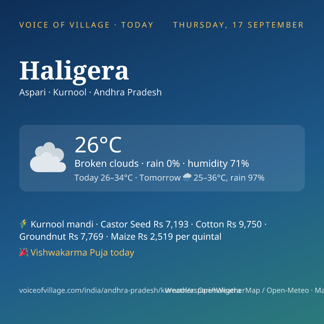 Haligera today