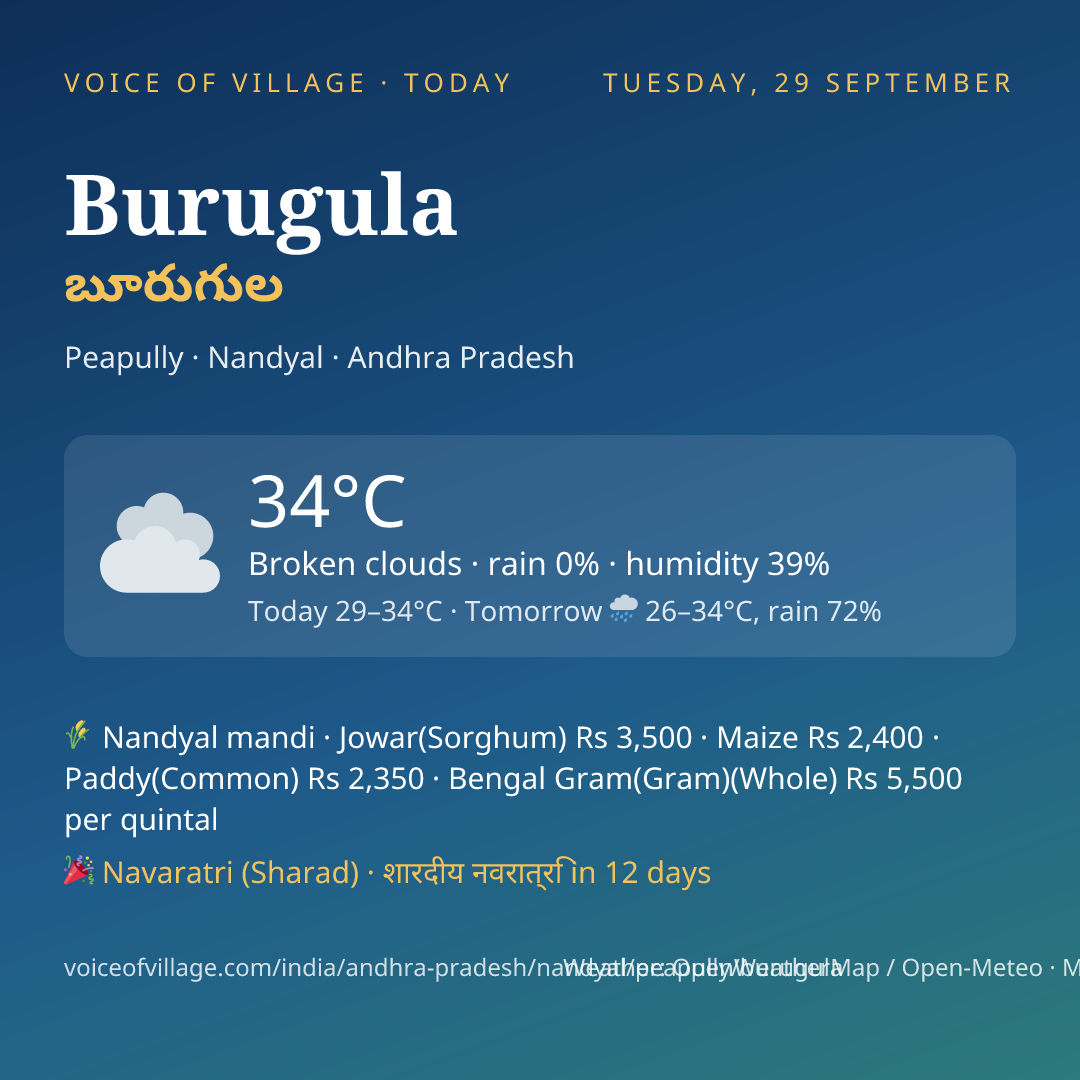 Burugula today