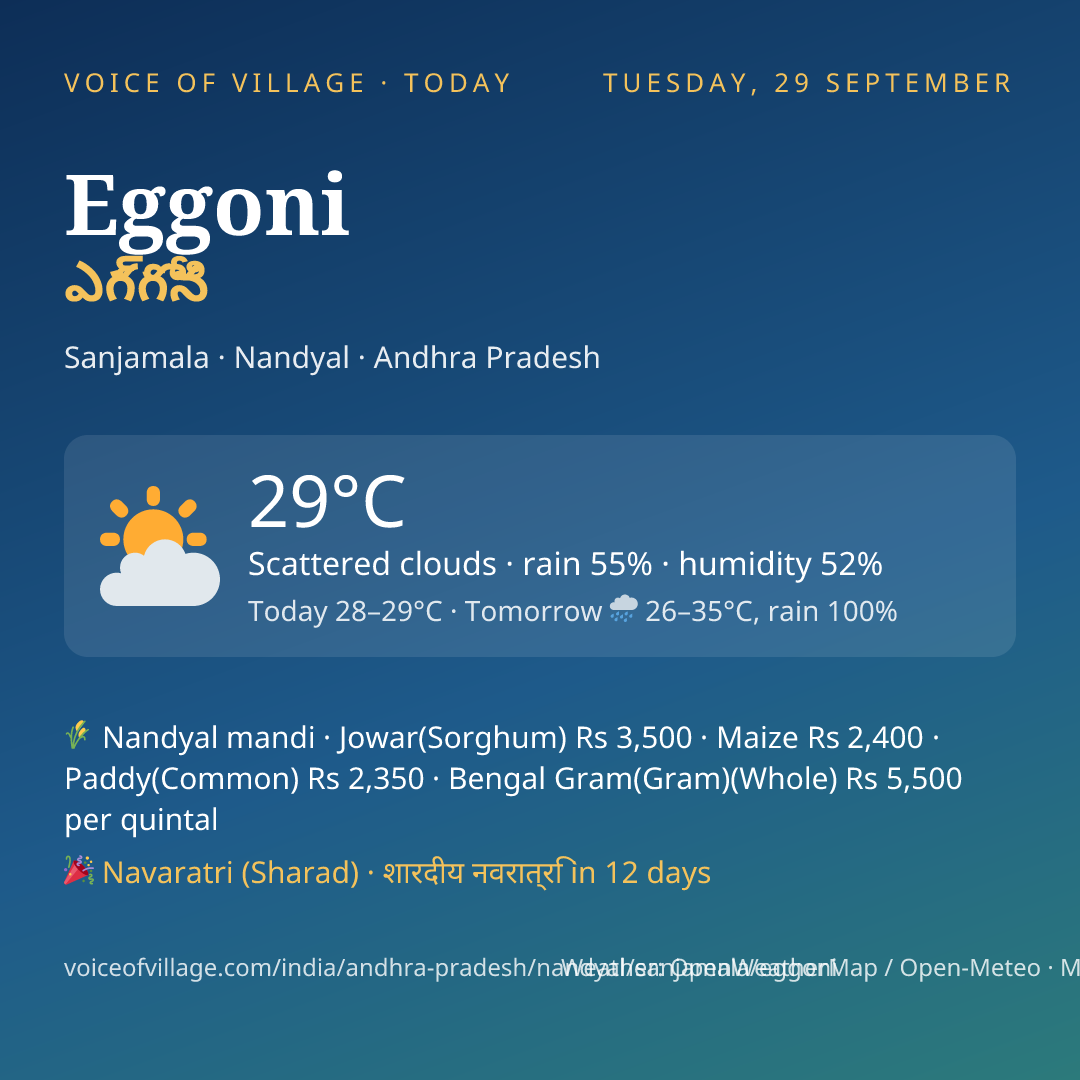 Eggoni today