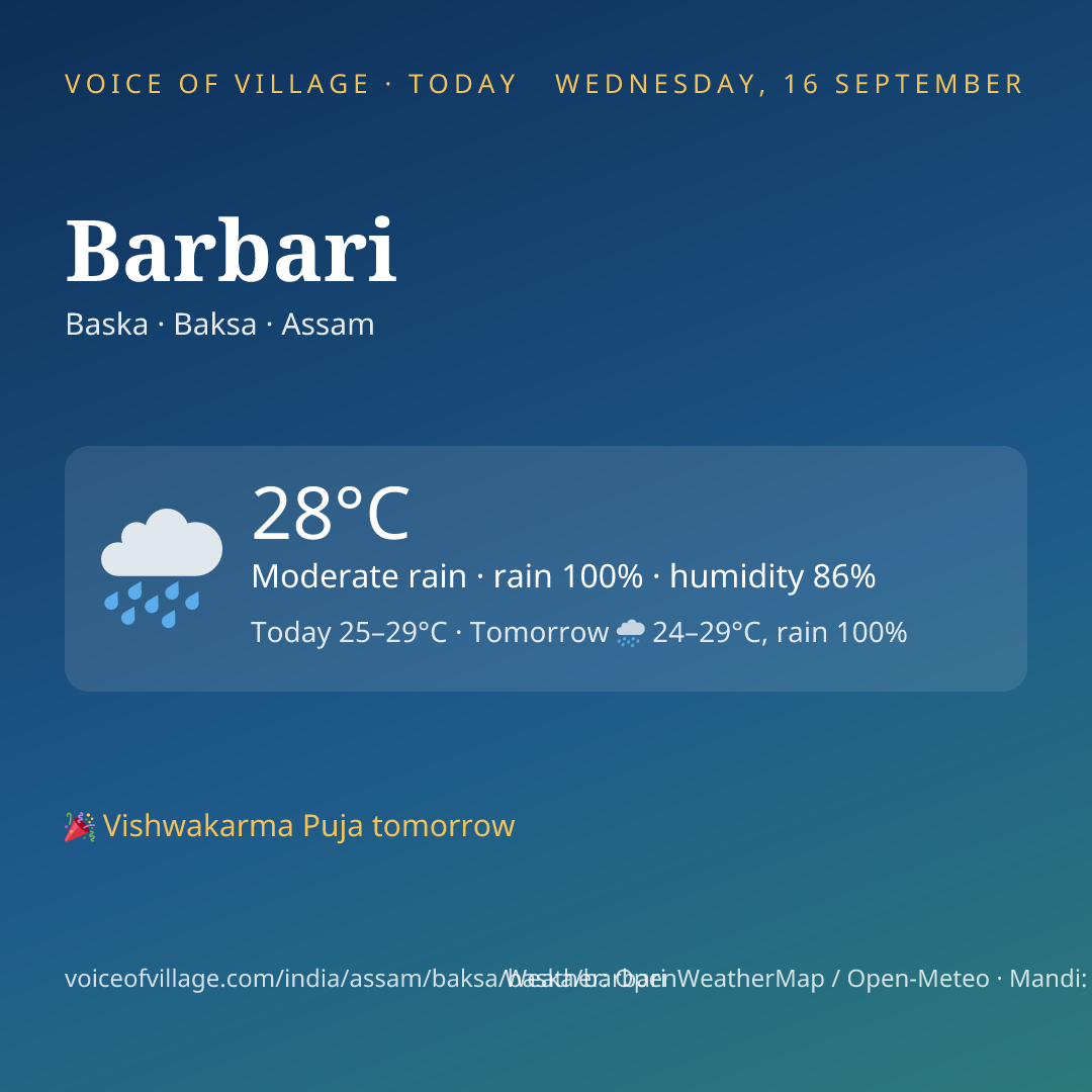 Barbari today