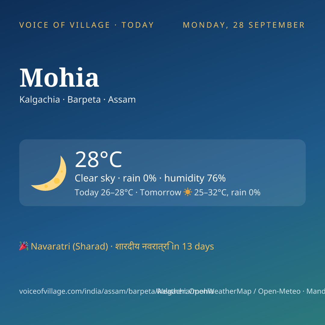 Mohia today