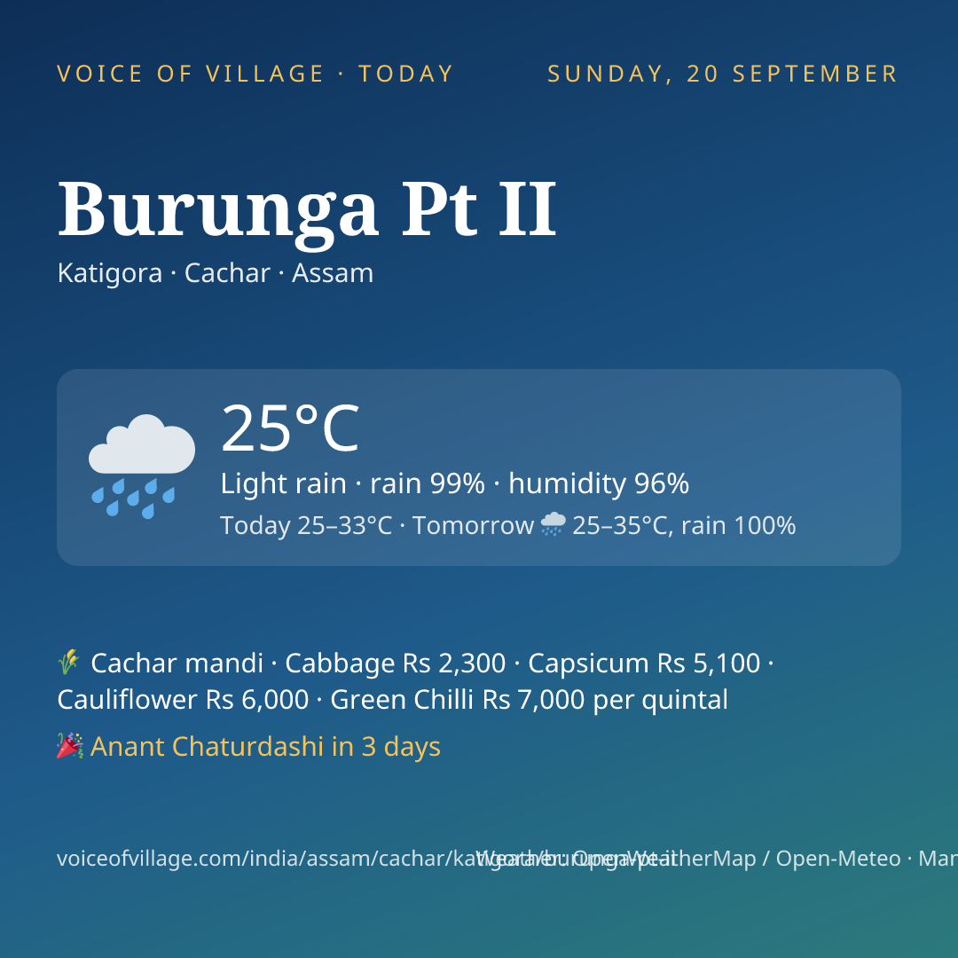Burunga Pt II today