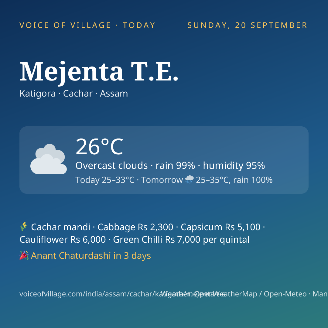 Mejenta T.E. today