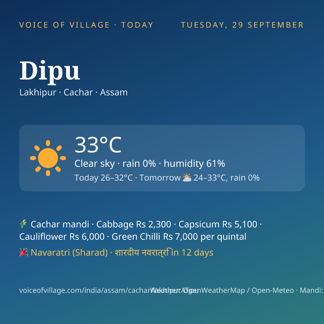 Dipu today