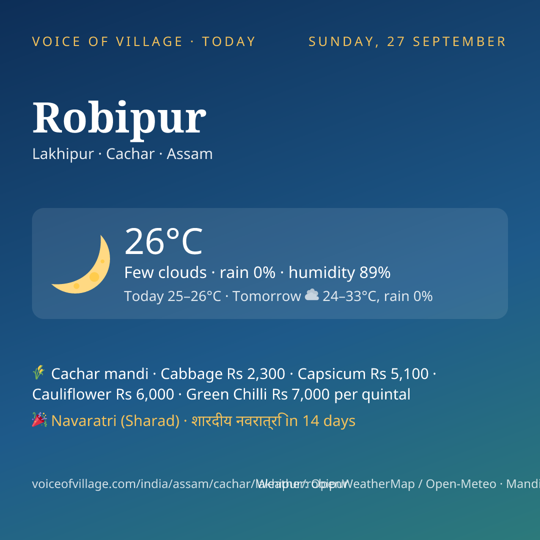 Robipur today