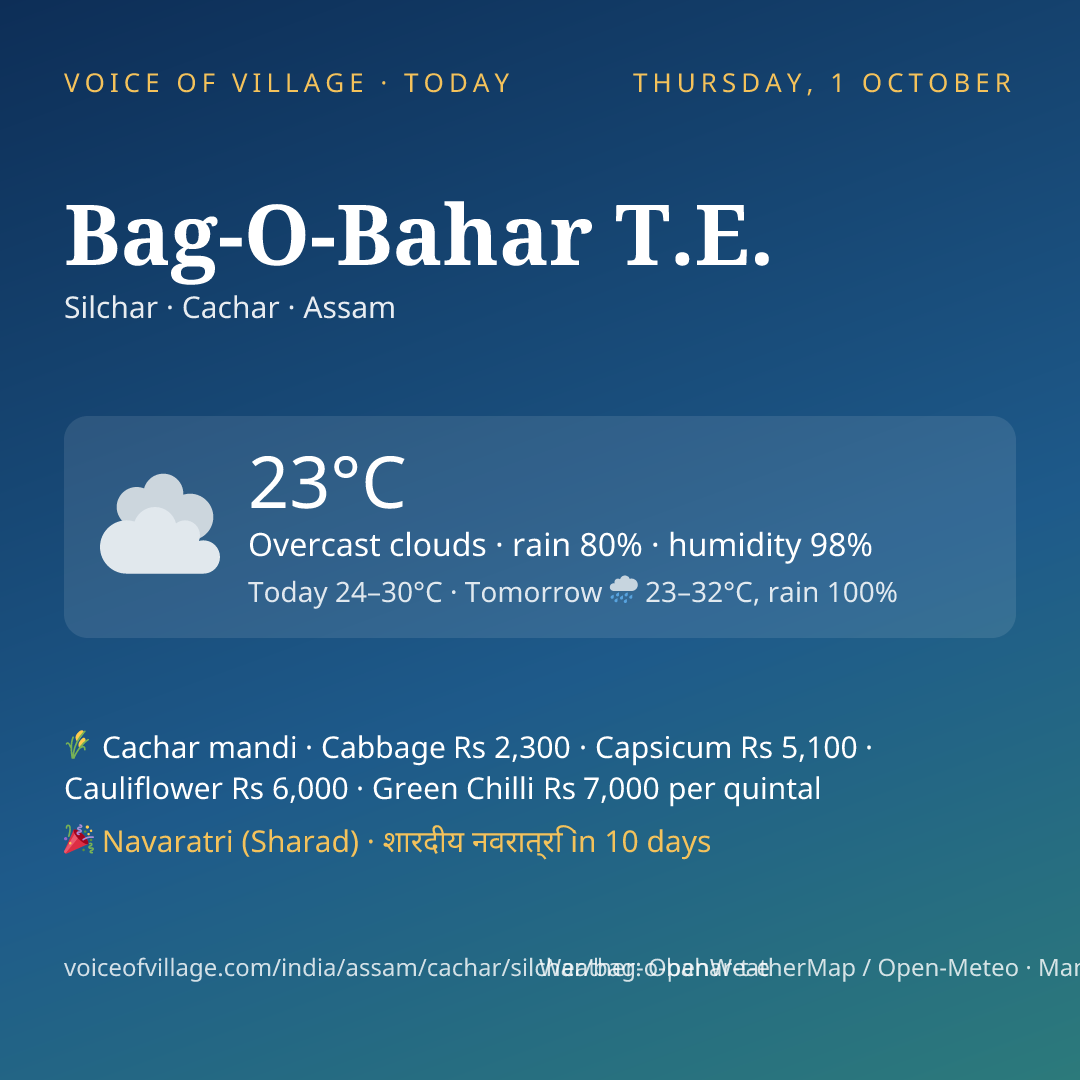 Bag-O-Bahar T.E. today