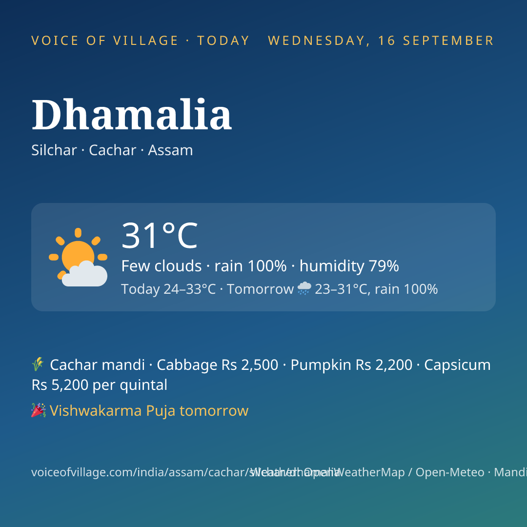 Dhamalia today