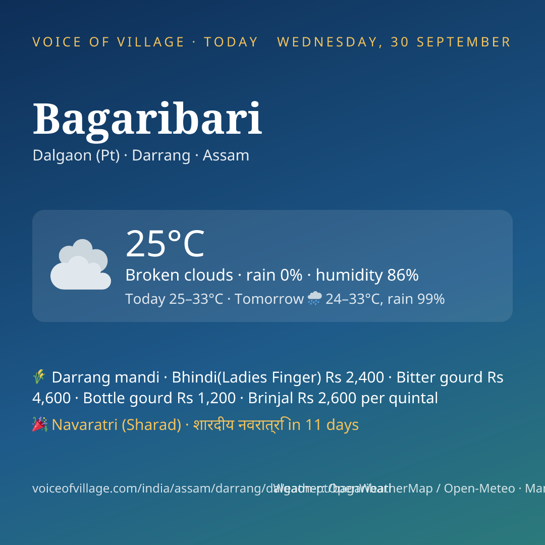 Bagaribari today