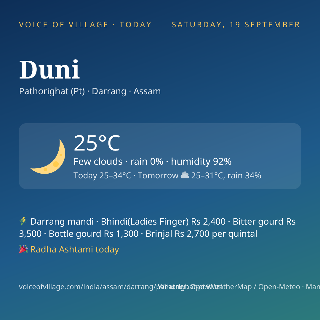 Duni today