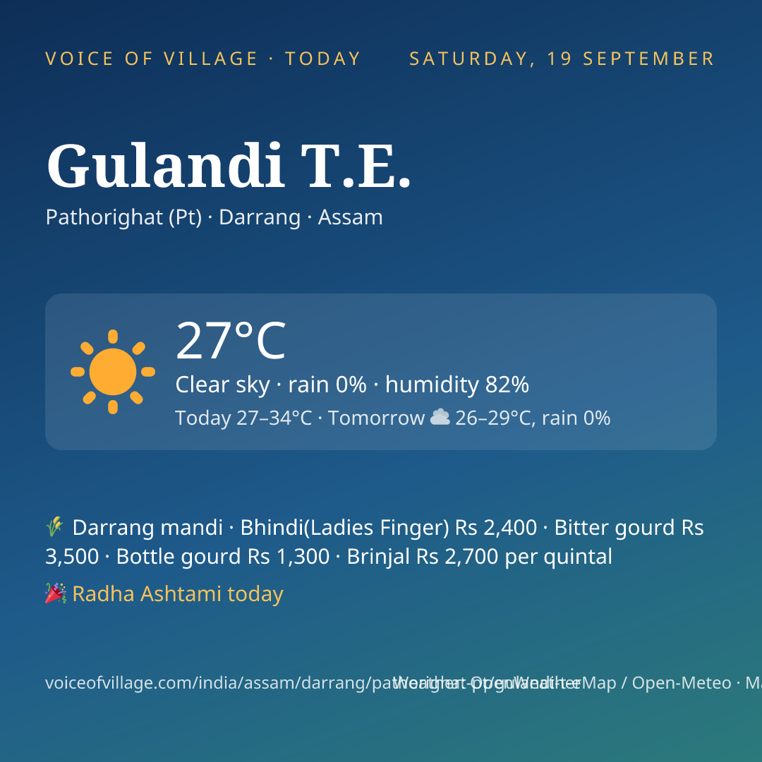 Gulandi T.E. today