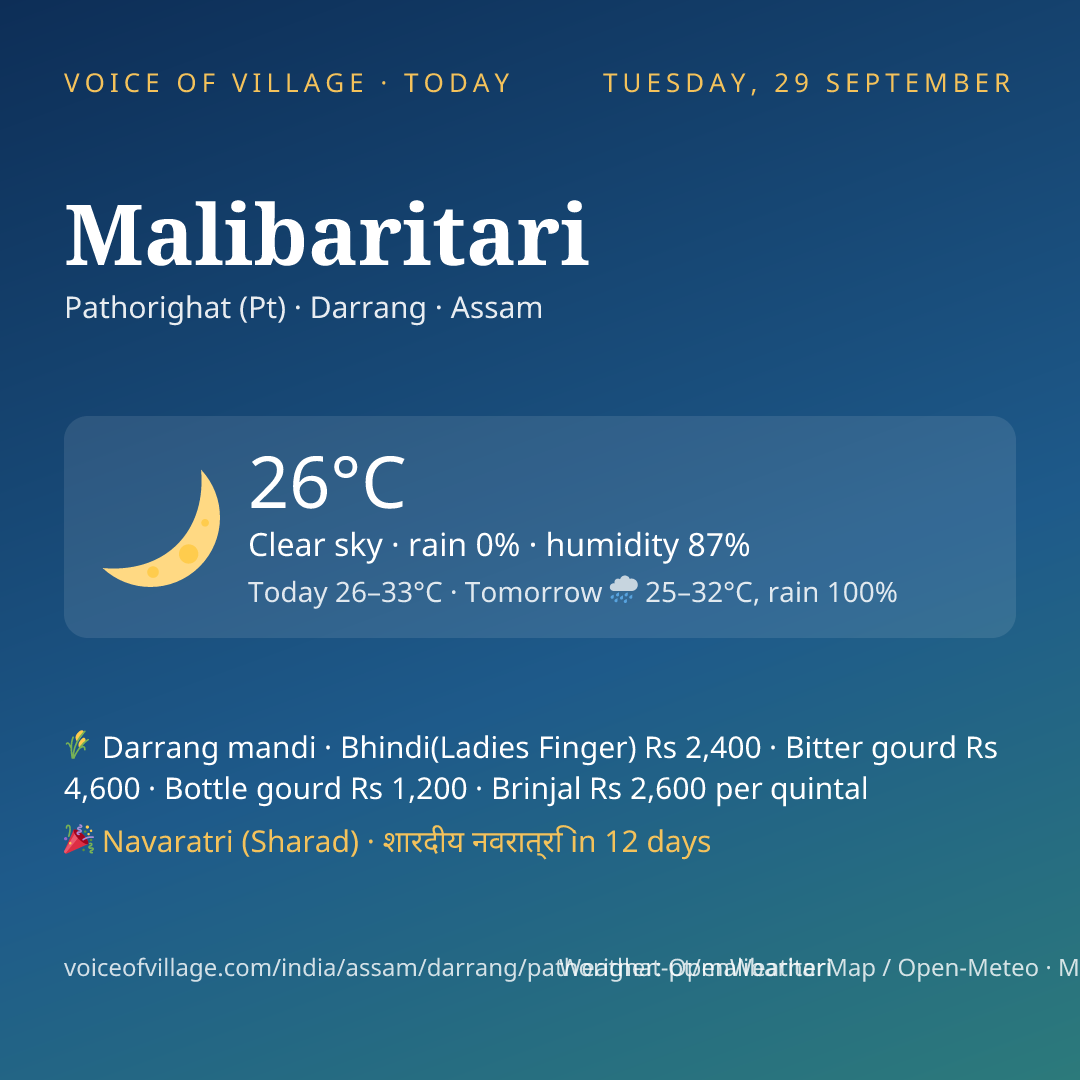 Malibaritari today