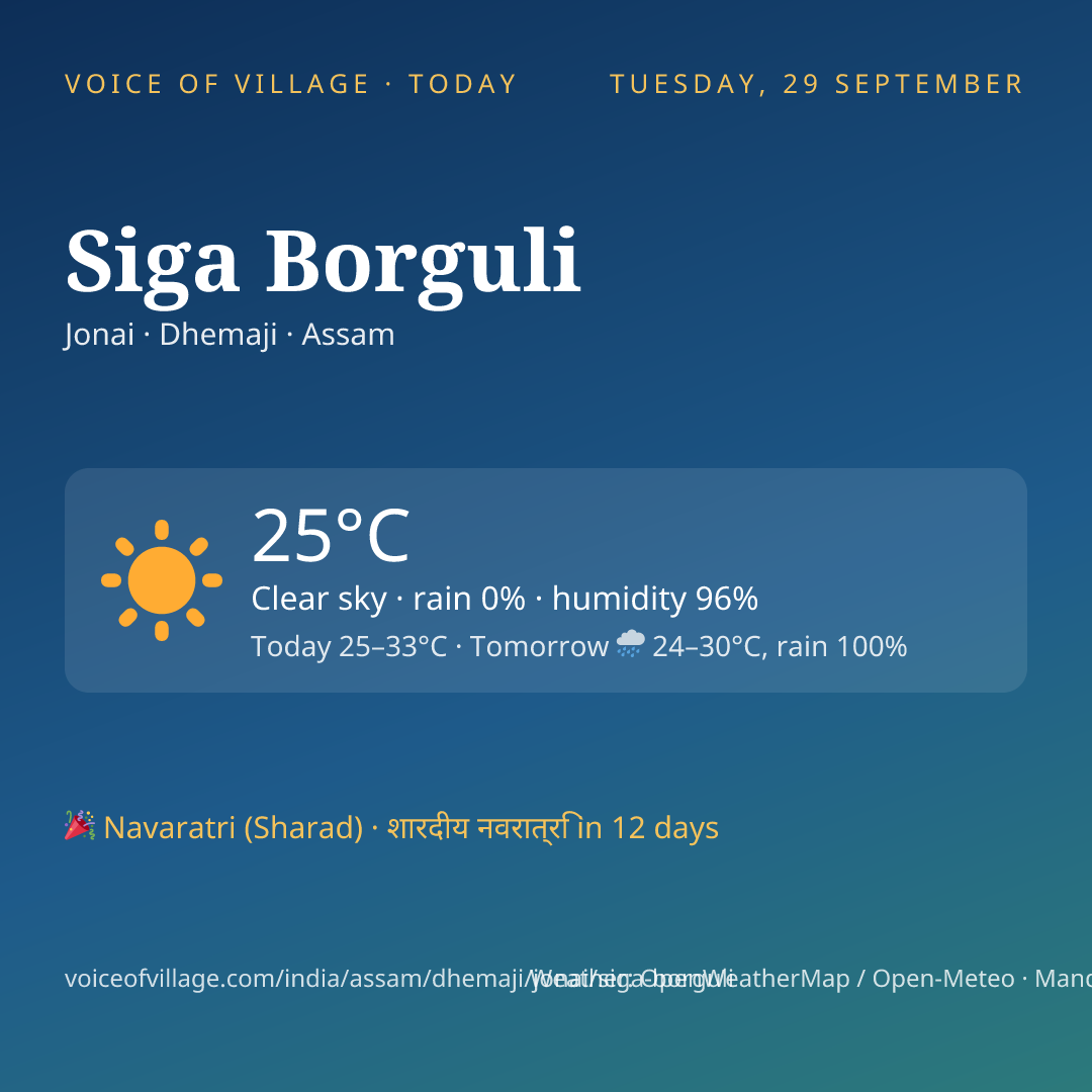 Siga Borguli today