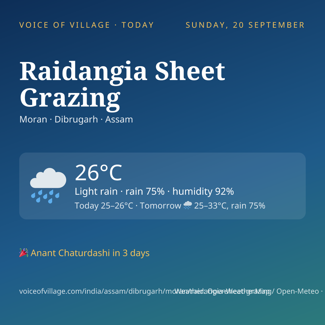Raidangia Sheet Grazing today