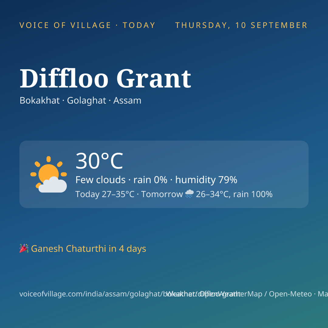 Diffloo Grant today