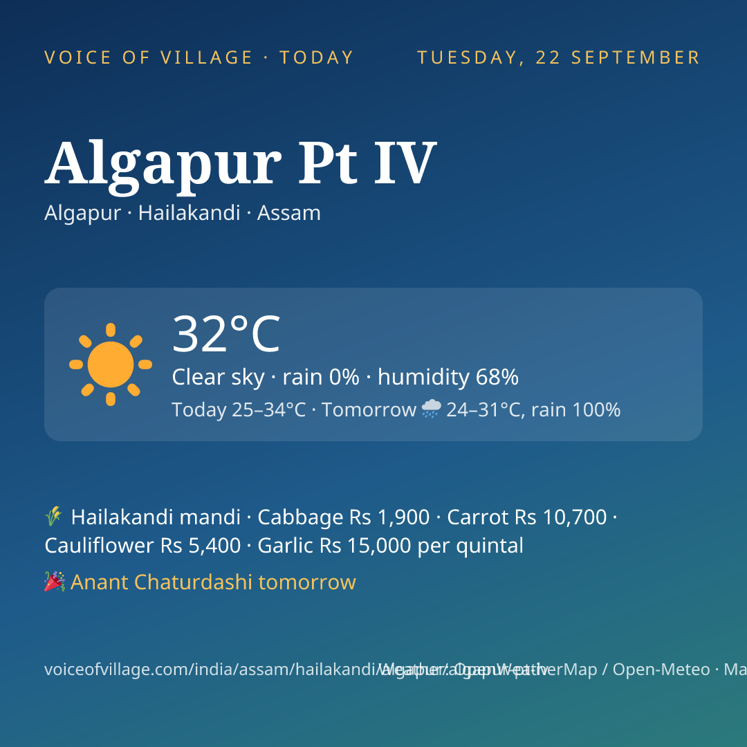 Algapur Pt IV today