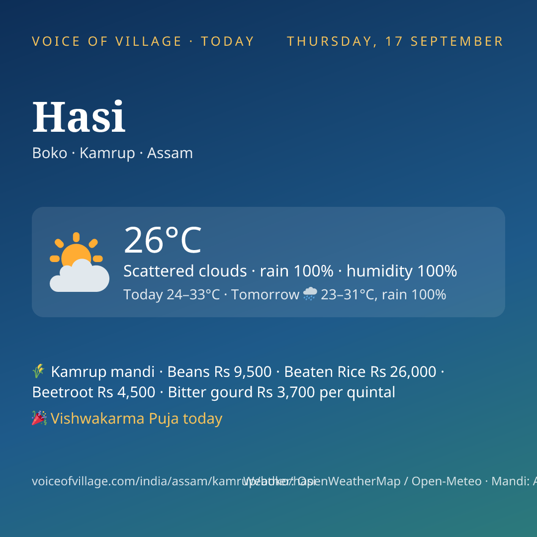 Hasi today