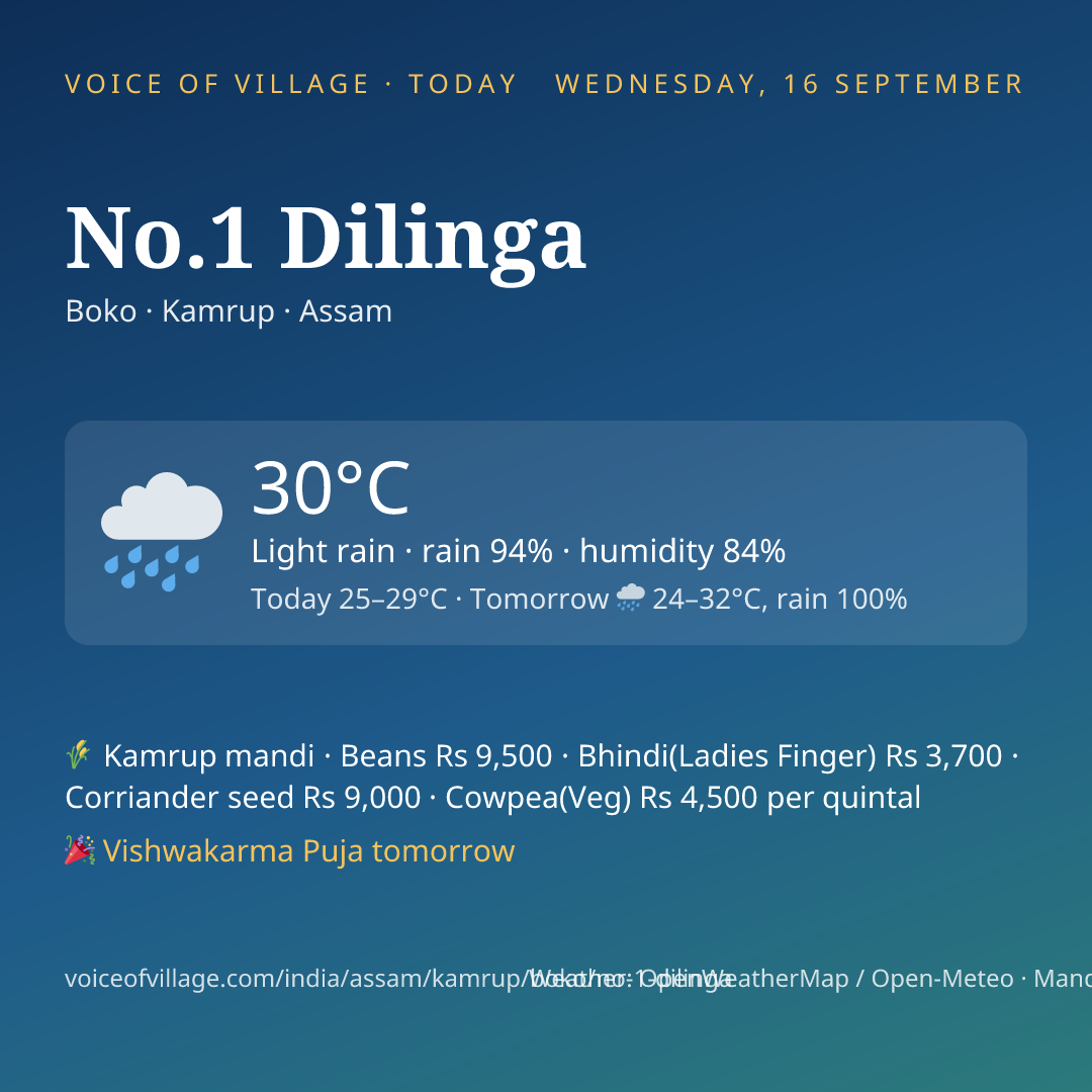 No.1 Dilinga today