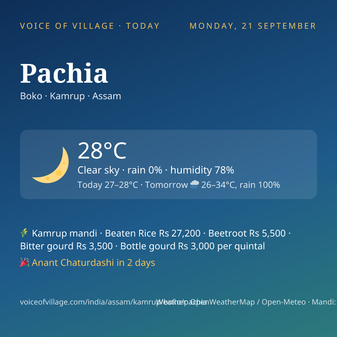 Pachia today