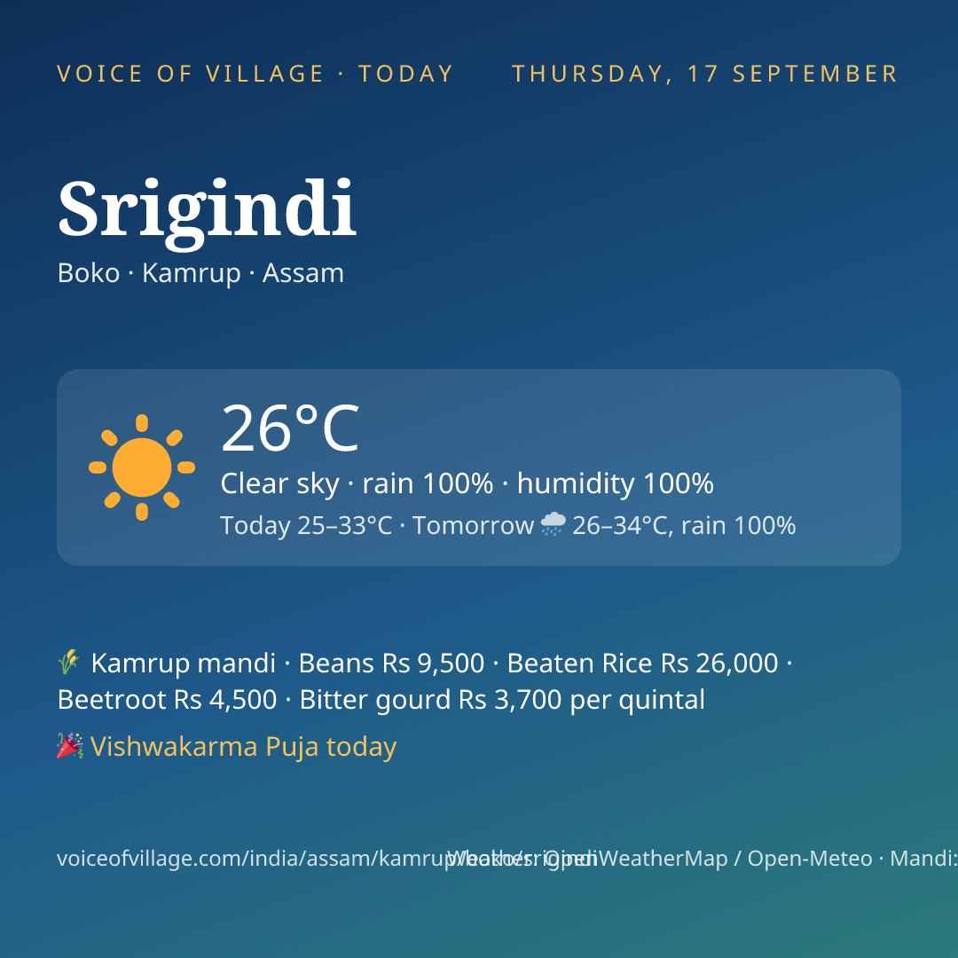 Srigindi today