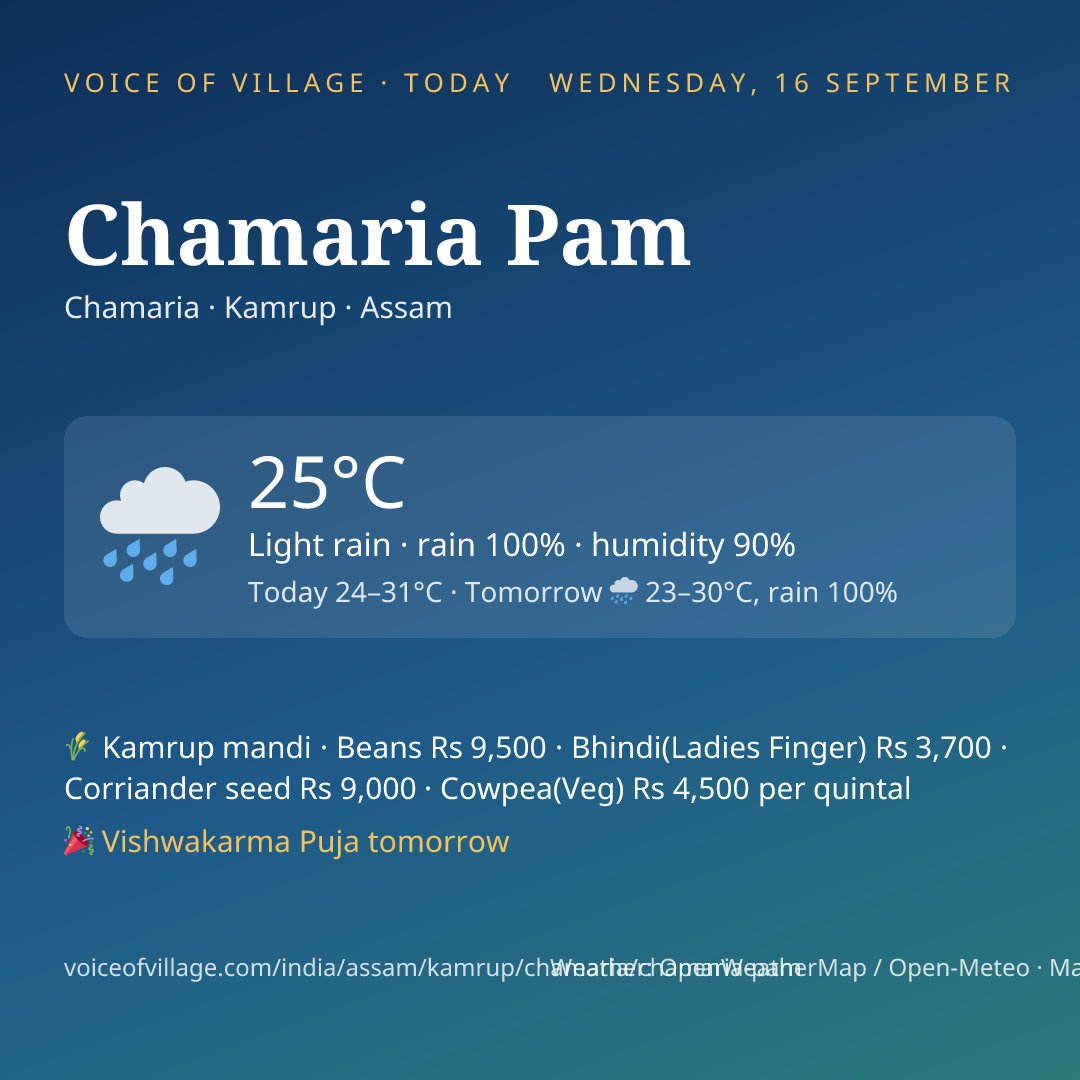 Chamaria Pam today