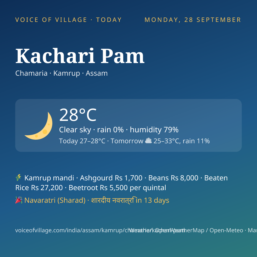 Kachari Pam today