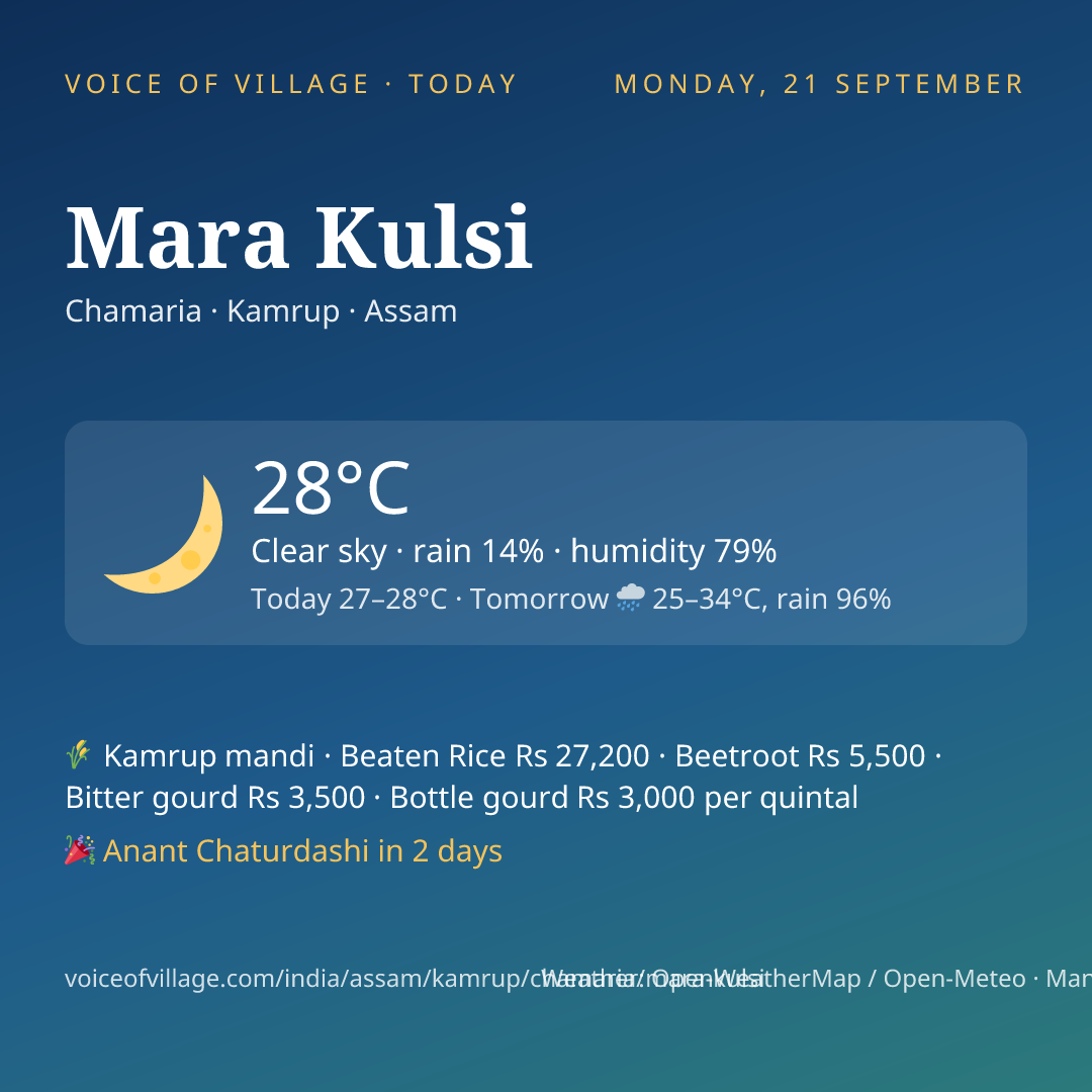 Mara Kulsi today