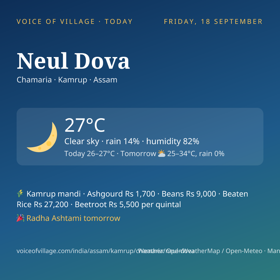 Neul Dova today