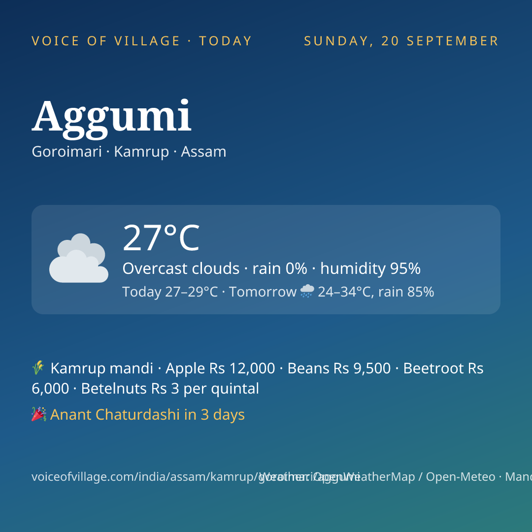Aggumi today