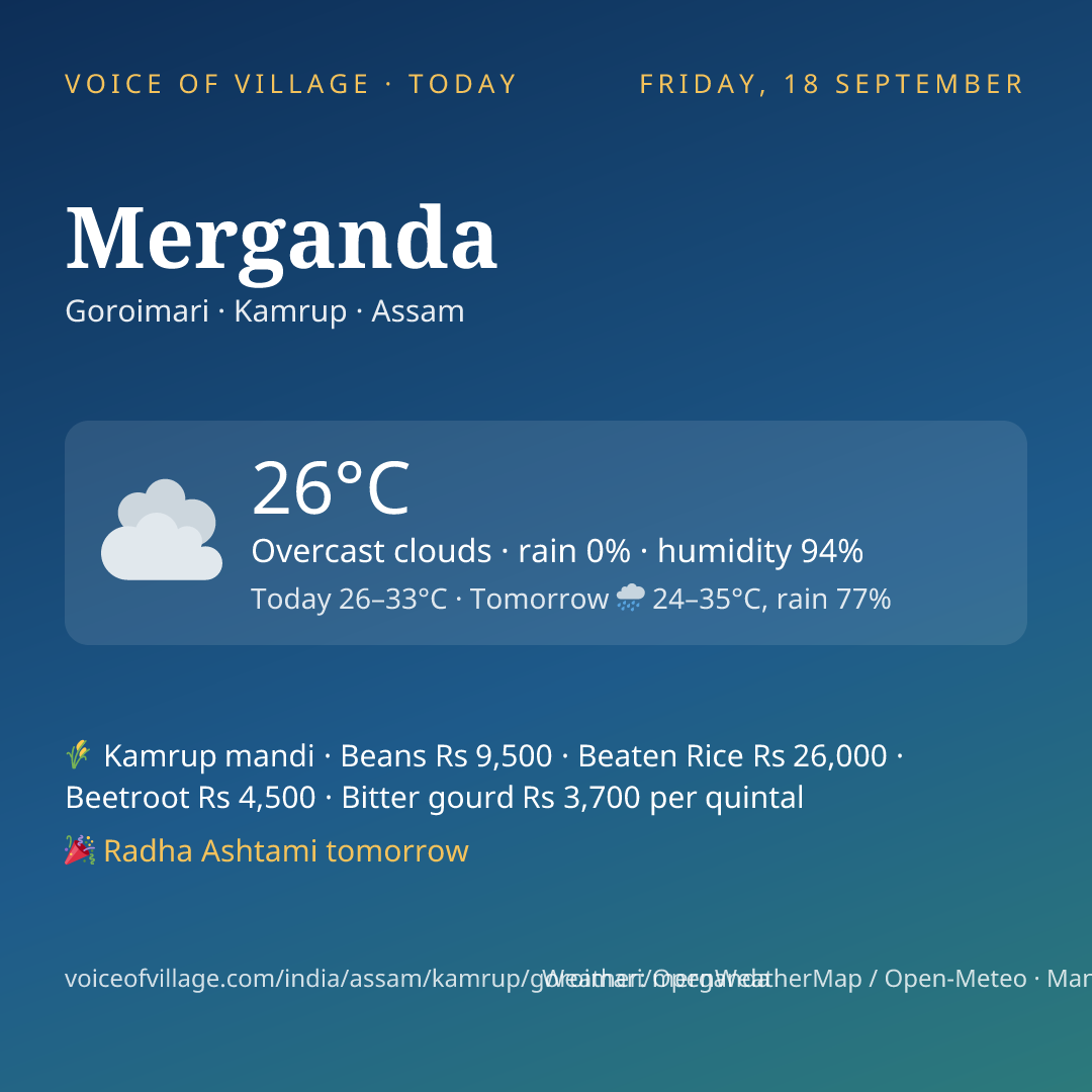 Merganda today