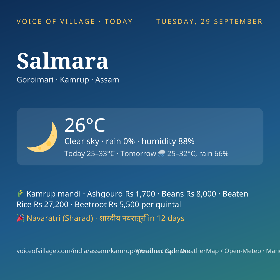 Salmara today