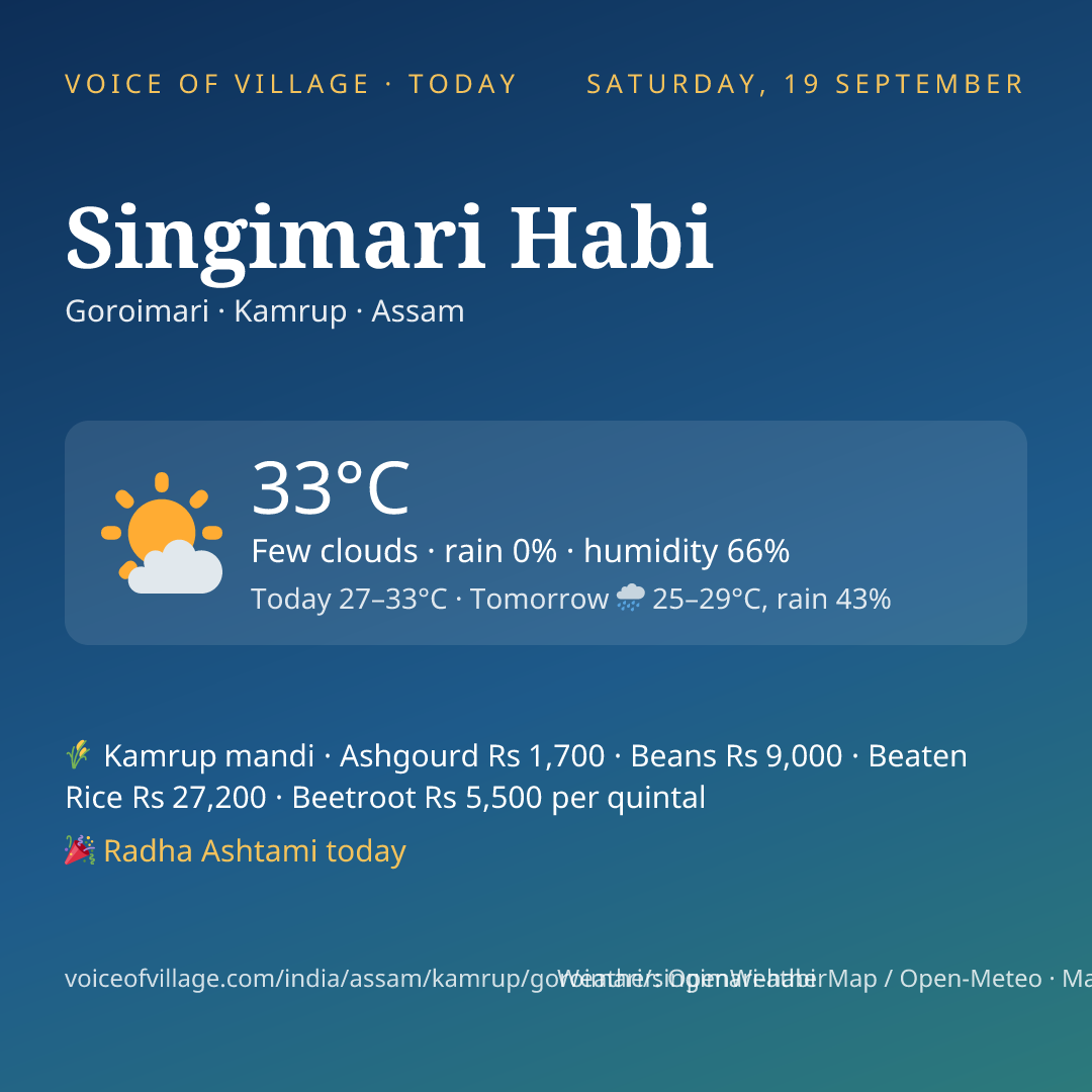 Singimari Habi today