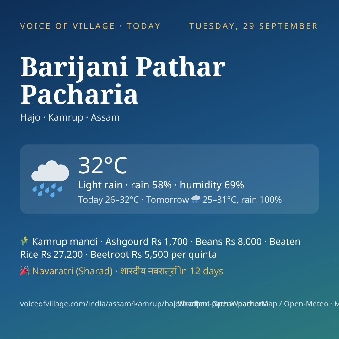 Barijani Pathar Pacharia today