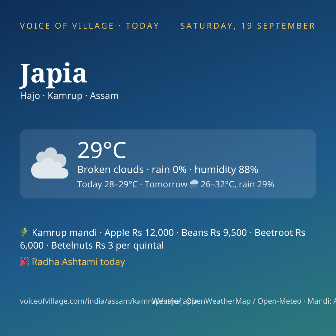 Japia today