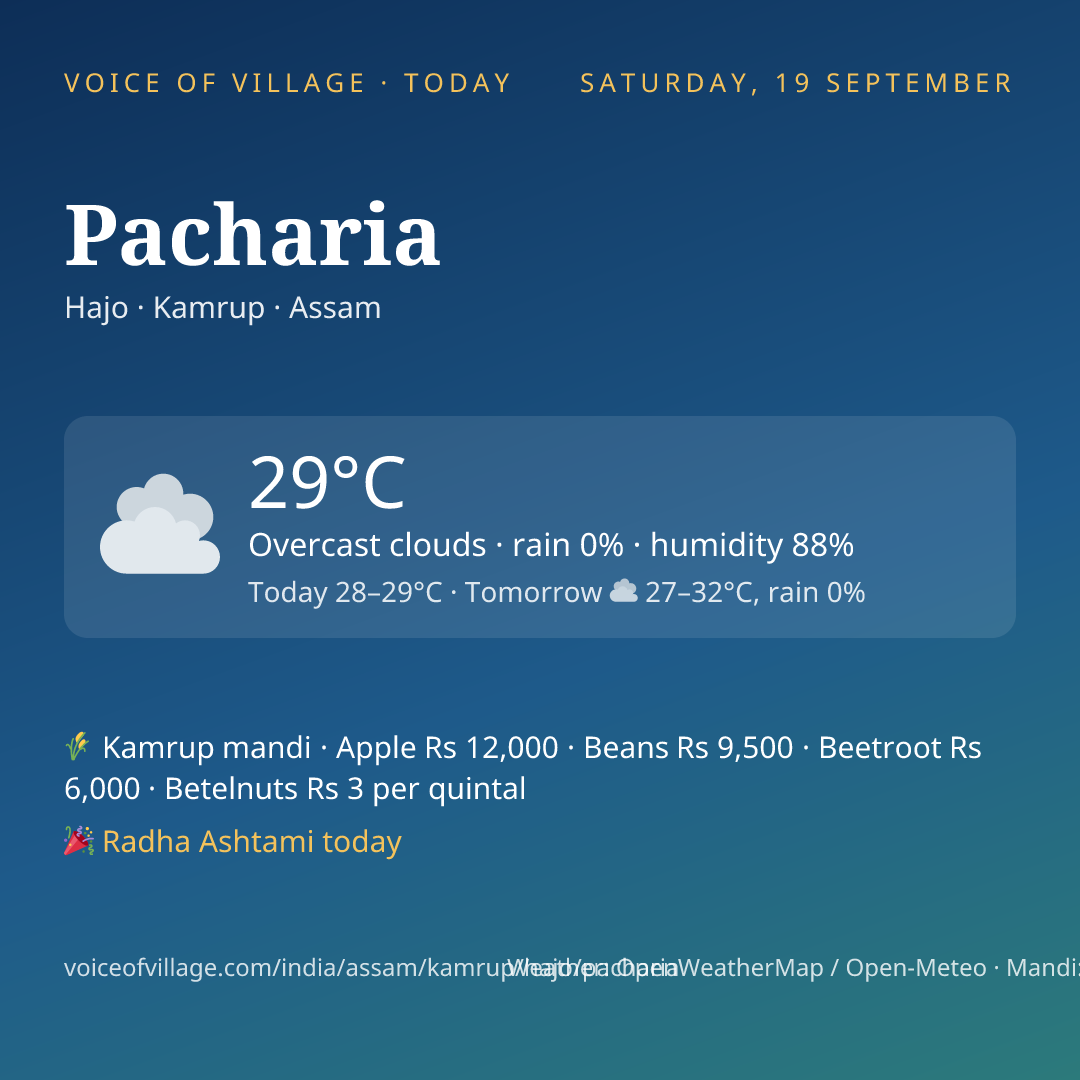 Pacharia today