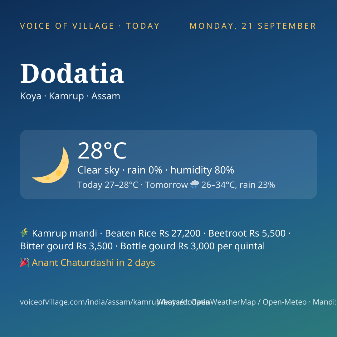 Dodatia today