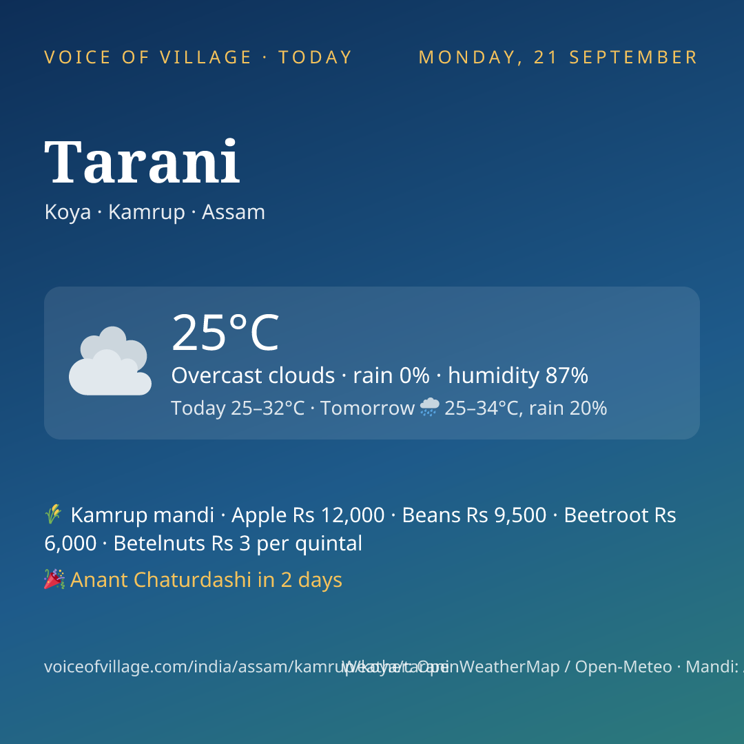 Tarani today