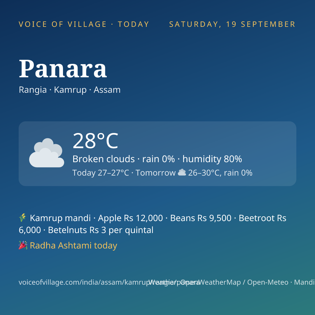 Panara today