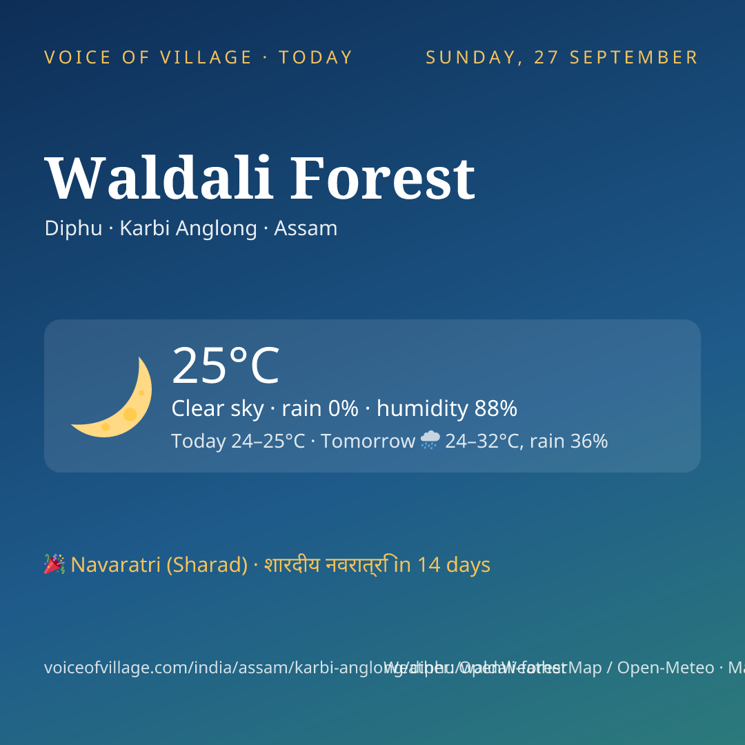 Waldali Forest today