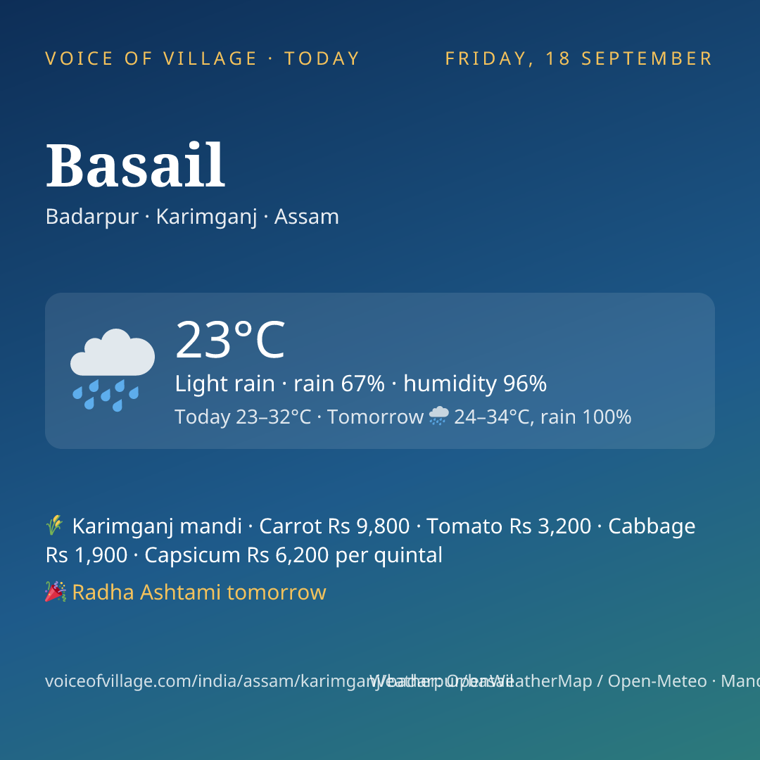 Basail today