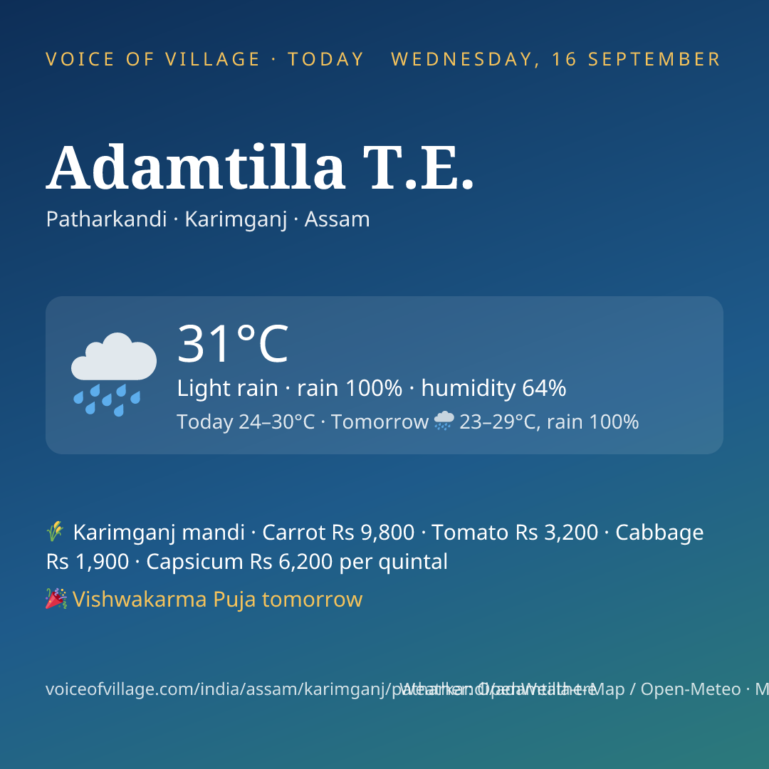 Adamtilla T.E. today