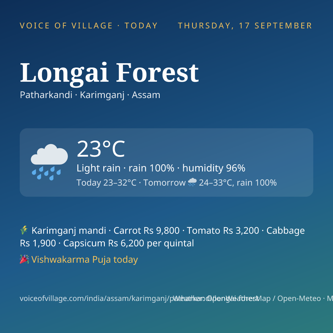 Longai Forest today