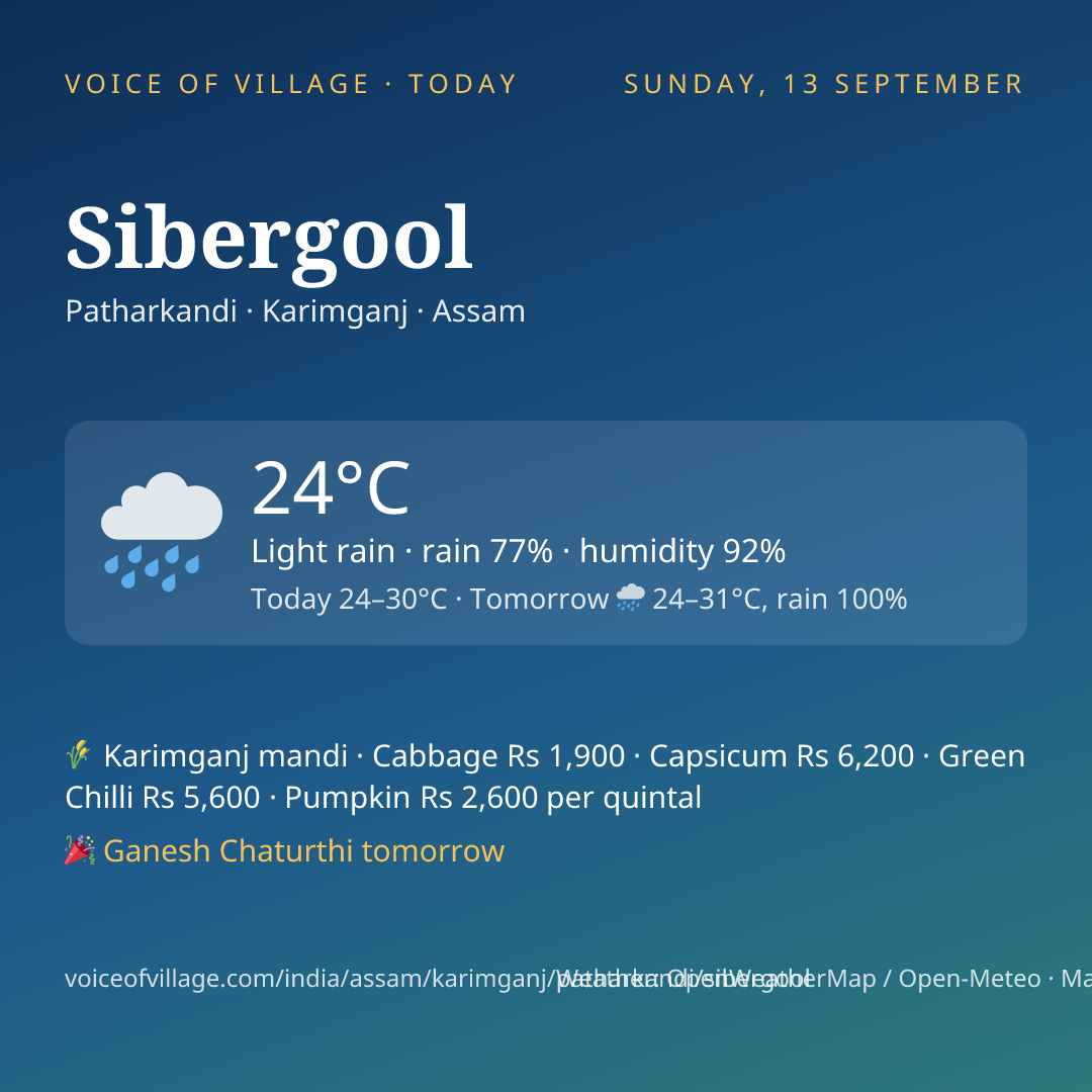 Sibergool today