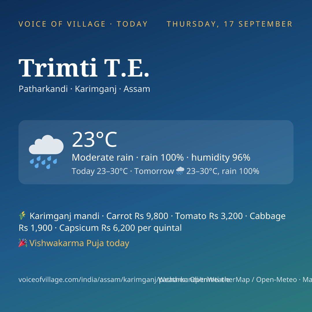 Trimti T.E. today