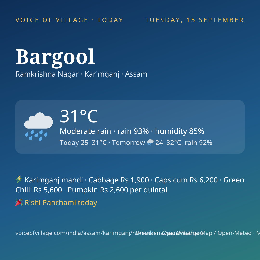 Bargool today