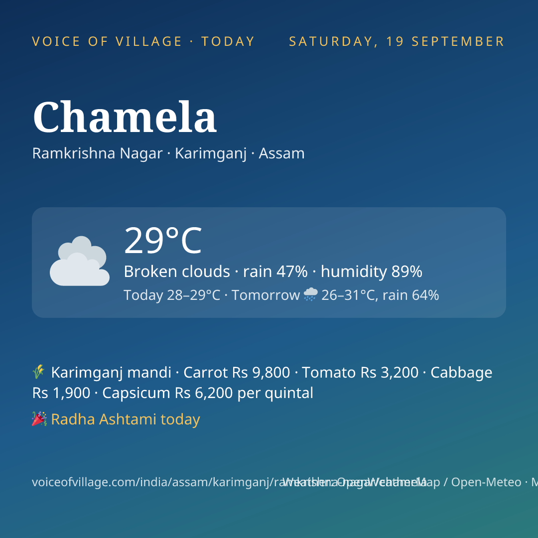 Chamela today