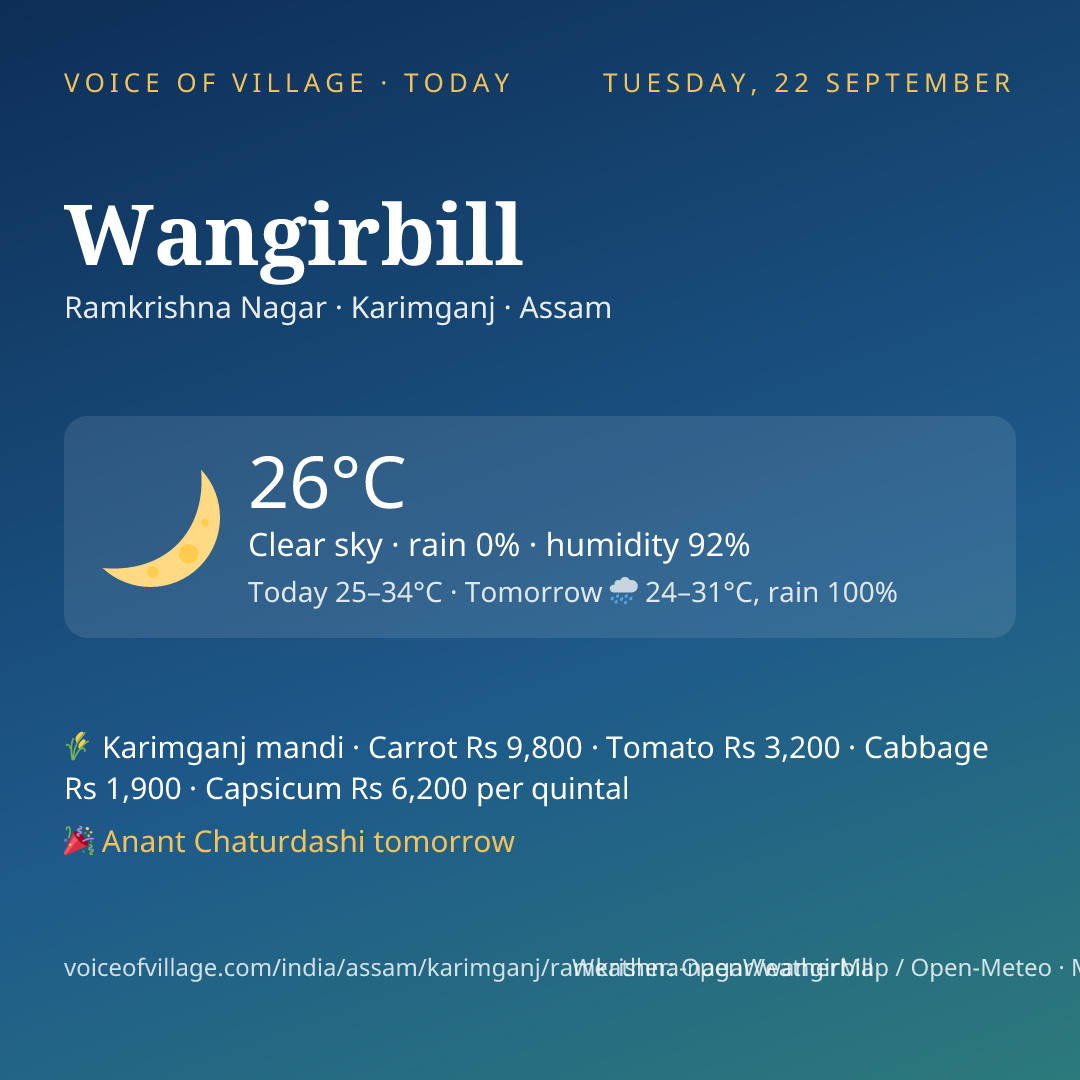 Wangirbill today