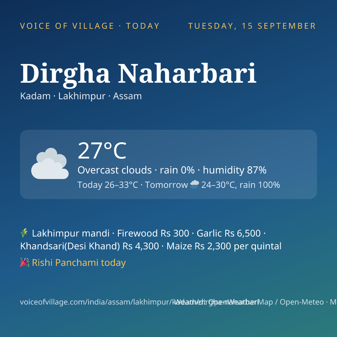 Dirgha Naharbari today